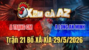 Trận 21 Xà Xía 29/5/2026: Điều Đâm Như Giang Hồ Bướm Ói Xỉu Bưng Ra