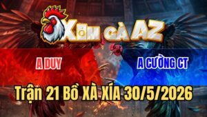Trận 21 Xà Xía 30/5/2026: Điều Vỗ Vài Chân, Xám Ngã Ngựa Bưng Ra Ngoài