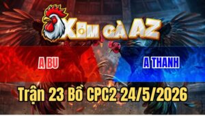 Trận 23 CPC2 24/5/2026: Gà Điều Thanh Quá Trâu Bướm Đâm Không Thấm