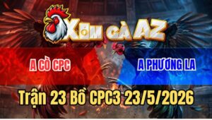 Trận 23 CPC3 23/5/2026: Gà Anh Phương Dí Gà Nước Bạn Chạy Quanh Sân