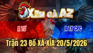 Trận 23 Bồ Xà Xía 20/5/2026 - Điều Cọp Dở Giò Là Đâm Tới Phút 90 Bướm Úa Chịu Hết Nổi Do Thấm Tang Nên Gục