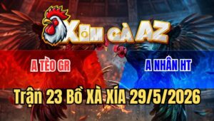 Trận 23 Xà Xía 29/5/2026: Bướm Anh Tèo Nuốt Ói Tiễn Gà Khét Lên Đường