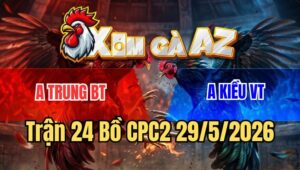 Trận 24 CPC2 29/5/2026: Úa Canh Chặn Đá Mấy Chân Đoạt Mạng Gà Điều