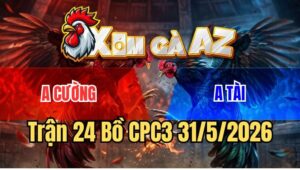 Trận 24 CPC3 31/5/2026: Đỏ Ra Chân Liên Hoàn, Gà Xanh Gục Ngã Tại Chỗ