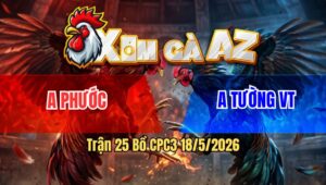 Trận 25 Bồ CPC3 18/5/2026 - Điều Đá Đòn Như Xe Đụng Bướm Lật Xe Sau Vài Chân Giao