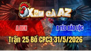 Trận 25 CPC3 31/5/2026: Điều Cọp Anh Tèo Đá Một Hơi Điều Hư Tỳ Bỏ Chạy