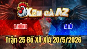 Trận 25 Bồ Xà Xía 20/5/2026 - Úa Cọp Quá Khôn Khéo Có Chân Cúp Điện Đâm Gà Xám Hư Hình Té Tuyệt Đối