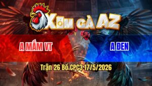 Trận 26 Bồ CPC3 17/5/2026 - Chuối Buông Đá 3 Chân Như Cây Đập Bông gãy Dò Thua Nhanh