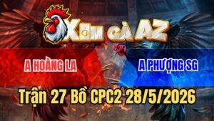 Trận 27 CPC2 28/5/2026: Điều Chốt Hạ Vào Đầu, Bướm La Miệng Chạy