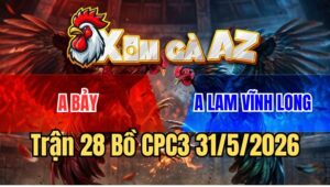 Trận 28 CPC3 31/5/2026: Gà Xám Ói Chết Tới, Bướm Bỏ Chiến Công Hòa