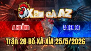 Trận 28 Xà Xía 25/5/2026: Gà Khét Đâm Đối Thủ Xanh Mặt Buông Đuôi Chạy