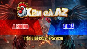 Trận 3 Bồ CPC2 17/5/2026 - Bướm Chấp Ẩu Lên Tới 4 Chấm Gà Buông Ra Điều Đá Cho Té Tuyệt Đối