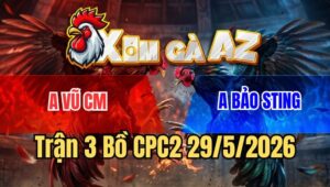 Trận 3 CPC2 29/5/2026: Điều Anh Vũ Đâm Bướm Hiệu Bảo Sting Gãy Cánh