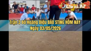 Trận 3 Bồ Hoàng Diệu BẢO STING HÔM NAY Ngày 03/05/2026