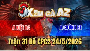 Trận 31 CPC2 24/5/2026: Vàng Phèn Đá 2 Chân Đối Phương Liệm Luôn