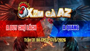 Trận 31 Bồ CPC3 17/5/2026 - Cú Đá Đâm Như Chỉa Úa Liệt Toàn Thân Sau Mấy Chân