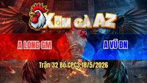 Trận 32 Bồ CPC3 18/5/2026 - Gà Bướm Đá Đâm Như Sát Thủ Cú Chịu Đòn Giỏi Nhưng Tới Phút Cuối Thấm Tang Nên Gục