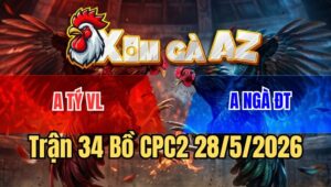 Trận 34 CPC2 28/5/2026: Gà Bướm Anh Tý Chọi Chân Nào Tiền Về Chân Đó