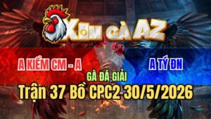 Tran 37 Bo CPC2 3052026