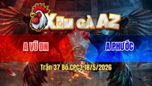 Trận 37 Bồ CPC3 18/5/2026 - Điều Canh Chặn Vừa Vào Chuối Đá Không Có Cửa Ăn Điều Đâm Lại Cây Té Nằm Đống