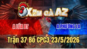Trận 37 CPC3 23/5/2026: Anh Lúa Và Anh Phương Bất Phân Thắng Bại