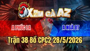 Trận 38 CPC2 28/5/2026: Anh Ngà Chấp Ẩu Và Cái Kết Không Còn Lối Thoát