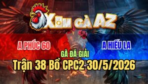 Trận 38 CPC2 30/5/2026: Bảo Sting Cũng Bất Lực Với Gà Tính Ga King