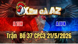 Trận 37 CPC3 21/5/2026