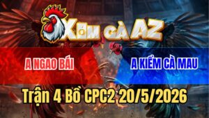 Trận 4 Bồ CPC2 20/5/2026 - Anh Kiểm Cà Mau Gặp Điều Cọp Đá 3 Chân Đâm Que Đuôi Lao Gãy Dò