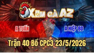 Trận 40 CPC3 23/5/2026: Anh Tuấn Bất Lực Kéo Đuôi Gà Ra Ngoài Bồ