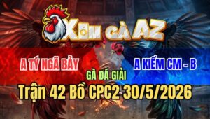Trận 42 CPC2 30/5/2026: Anh Tý Ngã 7 Gạt Giò Anh Kiểm Cà Mau