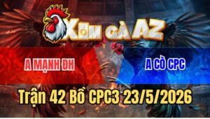 Trận 42 CPC3 23/5/2026: Gà Úa Giữ Pin Cực Tốt, Xám Kiệt Sức La Miệng