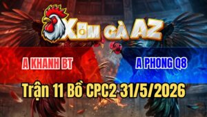 Trận 11 CPC2 31/5/2026