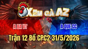 Trận 12 CPC2 31/5/2026