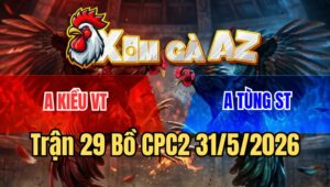 Trận 29 CPC2 31/5/2026