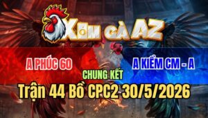 Trận 44 CPC2 30/5/2026: Chung Kết Giữa Anh Phúc 60 Và Anh Kiểm Cà Mau
