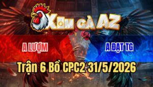 Trận 6 CPC2 31/5/2026
