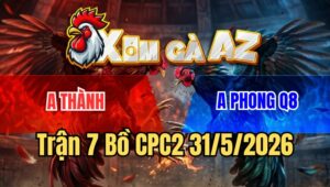 Trận 7 CPC2 31/5/2026