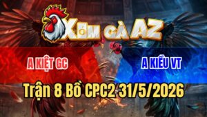 Trận 8 CPC2 31/5/2026