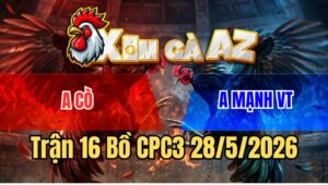 Trận 16 CPC3 28/5/2026