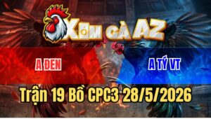 Trận 19 CPC3 28/5/2026