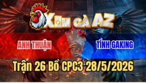Trận 26 CPC3 28/5/2026