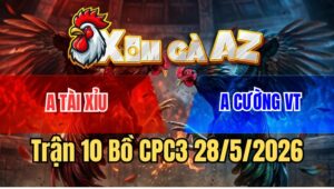 Trận 10 CPC3 28/5/2026