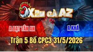 Trận 5 CPC3 31/5/2026: Úa Anh Khá Né Hay Phản Lại Chân Bướm Lìa Giò