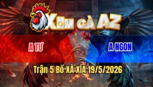Trận 5 Bồ Xà Xía 19/5/2026 - Bướm Úa Đá Quá Chắc Cựa Vào Đâm Toàn Mu Lưng Khét Té Tại Mức