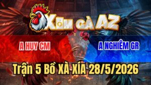 Trận 5 Xà Xía 28/5/2026: Buông Đuôi Đỏ Nạp Cựa Như Máy Chém
