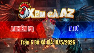Trận 6 Bồ Xà Xía 19/5/2026 - Điều Canh Chặn Vào Sân Chặn Vài Chân Khét Không Có Đường Vào Hạ Khét Nhanh Lẹ