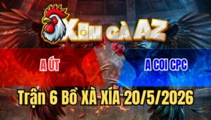 Trận 6 Bồ Xà Xía 20/5/2026 - Đỏ Vừa Vào Ra Cựa Là Dính Đâm Xanh Té Ngọt Xớt Trong Tay Nước Đầu