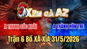 Trận 6 Xà Xía 31/5/2026: Gà Điều Chủ Bồ, Đứng Chịu Đòn Hốt Bạc Cực Hay