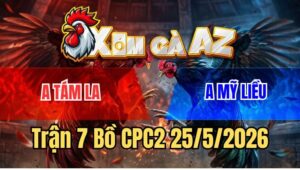 Trận 7 CPC2 25/5/2026: Gà Chú Mỹ Liều Đứng Chịu Đòn Gom Lúa Cho Chủ